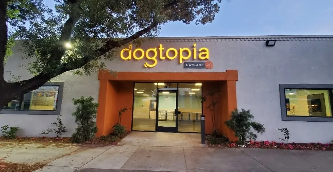 Create a Perfect Visibility of your Business Using Illuminated Channel Letters Set by DN Signs